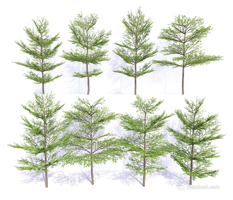 Arbor Trees Various Types Featuring Diverse Foliage And Tree Forms For Landscaping 3d model