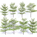 Arbor Trees Various Types Featuring Diverse Foliage And Tree Forms For Landscaping 3d model
