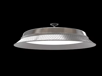 Modern Metal Downlight Spotlight With Recessed Design For Ceiling Lighting Fixture 3d model