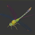 Detailed Vibrant Dragonfly With Colorful Body Transparent Wings And Iridescent Reflections