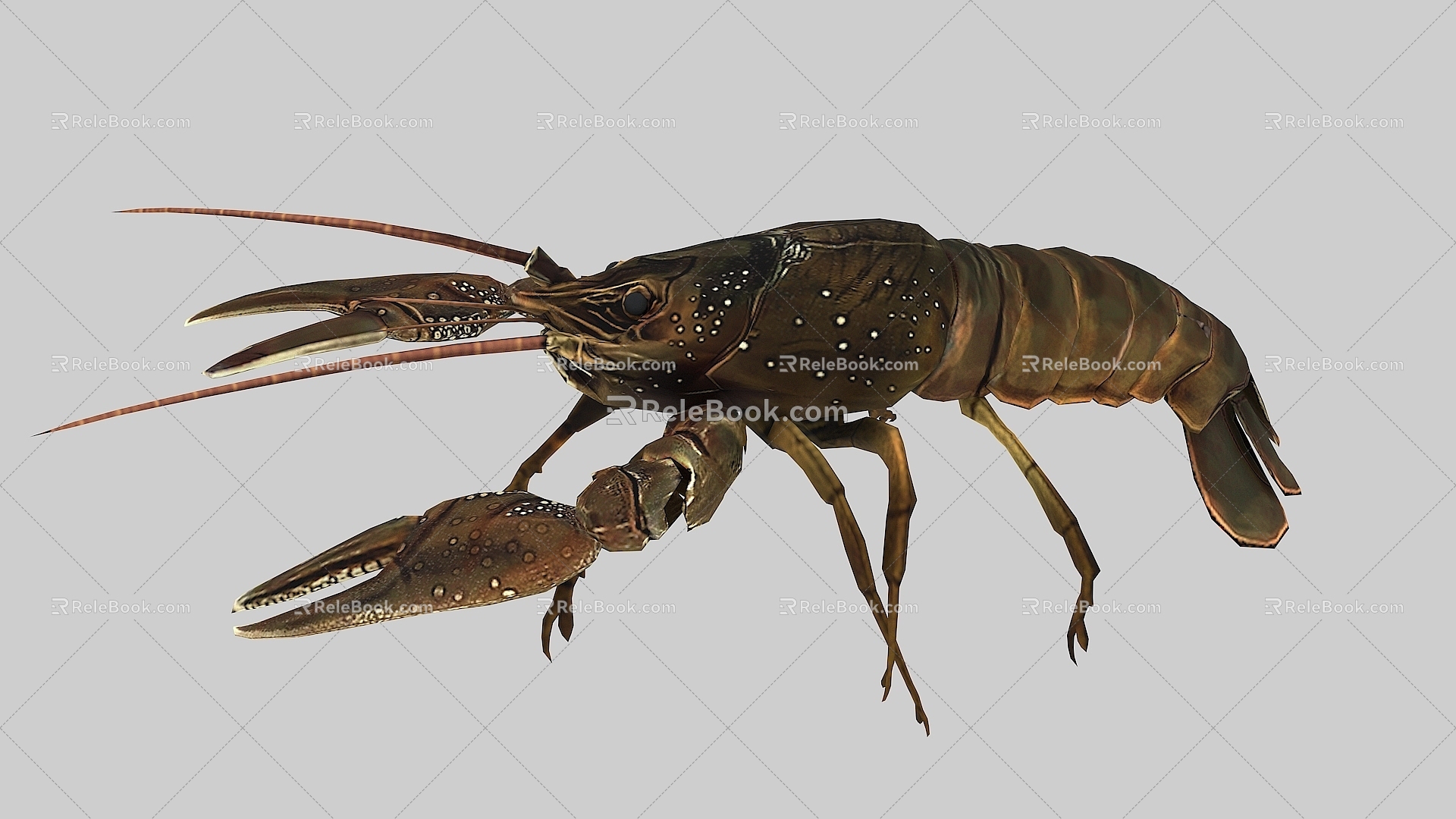 Realistic Shrimp Lobster Crayfish 3d model