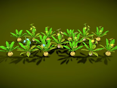 Neatly Arranged Green Plants With Green Leaves Yellow And Blue Flowers On Green Background 3d model