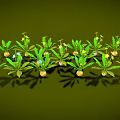 Neatly Arranged Green Plants With Green Leaves Yellow And Blue Flowers On Green Background