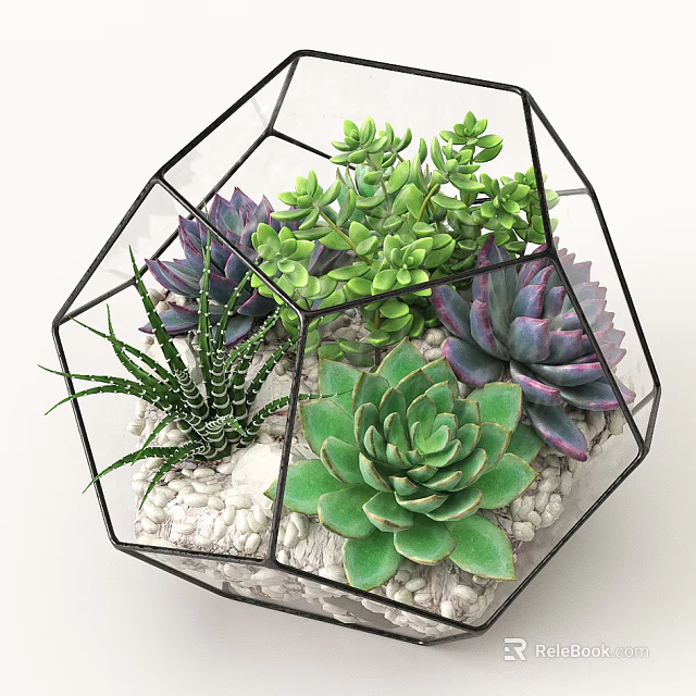 Geometric Glass Vase With Various Succulent Plants Green And Purple Leaves And White Pebbles 3d model 