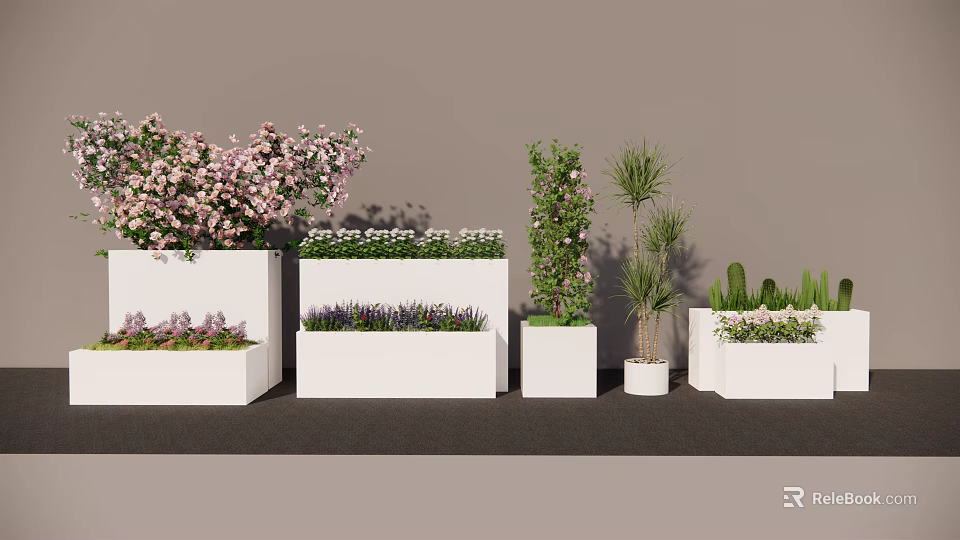 Modern Bonsai Potted Plants With White Planters Flowering Shrubs And Cacti 3d model 
