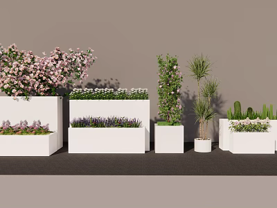 Modern Bonsai Potted Plants With White Planters Flowering Shrubs And Cacti 3d model
