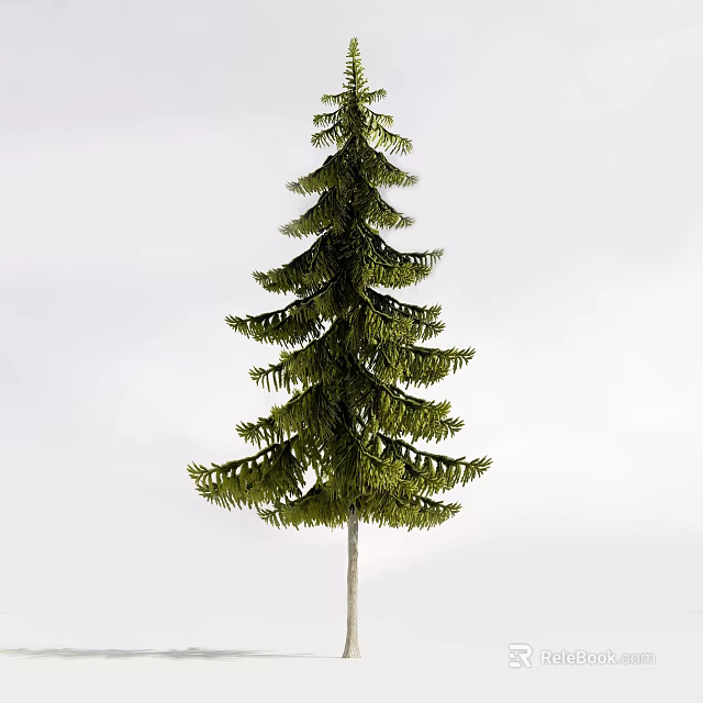 Tall Green Arbor Tree With Lush Foliage And Light Colored Trunk Against White Background 3d model 