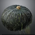 Single Blue Green Speckled Striped Pumpkin With Yellow Stem On Dark Background