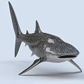 Whale Shark Aquatic Animal With Spotted Skin Gray Body And Detailed Fins