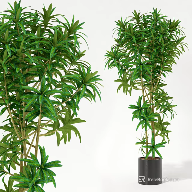 Bonsai Potted Plant With Lush Green Foliage For Indoor Home Decor 3d model 