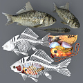 Modern Fish Medical Anatomy of Carassius auratus Skeleton Structure Specimen 3d model