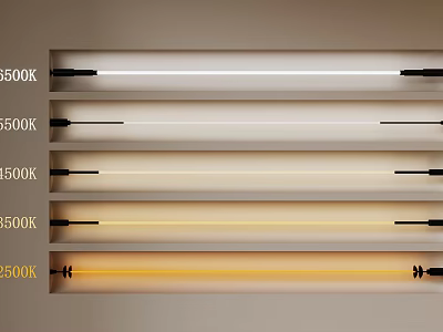 Different Color Temperature Light Tubes Display With Warm To Cool White Variations 3d model