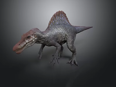 Detailed Spinosaurus Dinosaur 3D Model Render With Dorsal Sail And Textured Skin 3d model