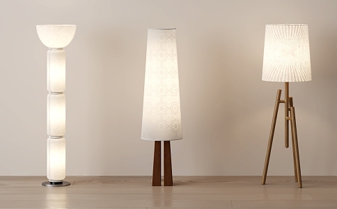 Modern Floor Lamp Decorative Lamp 3d model