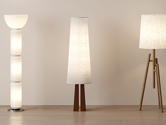 Modern Floor Lamp Decorative Lamp 3d model