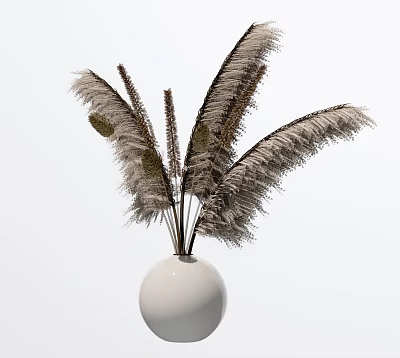 White Spherical Vase With Dried Feathery Floral In Modern Minimalist Style 3d model