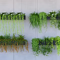 Lush Trailing Hanging Basket Plants In Wall Mounted Planters For Home Decor