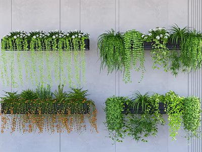 Lush Trailing Hanging Basket Plants In Wall Mounted Planters For Home Decor 3d model