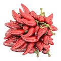 Fresh Vibrant Red Chili Peppers Bunch With Green Stems On White Background