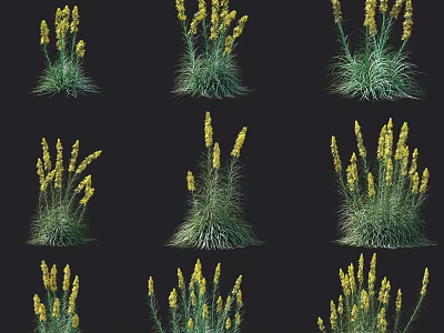 Beautiful Yellow Flowers with Green Stems and Leaves Multiple Plants Arranged on Dark Background 3d model