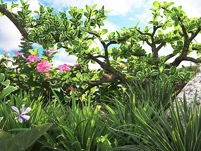 Lush Green Shrubs with Pink Purple Flowers and Grassy Area in Natural Garden Setting 3d model