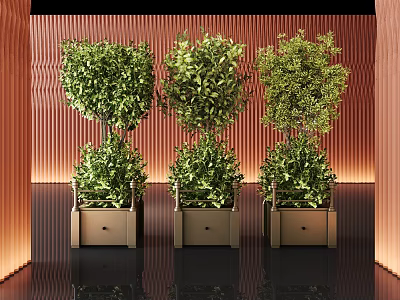 Green plant turnout potted plant 3d model