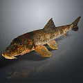 Decorative Fish Figurine As Home Living Room Ornament Decoration Piece