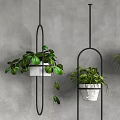 Hanging Potted Plants With Black Metal Oval Frames On Gray Wall Decor 3d model