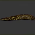 Dark Brown Moray Eel With Yellow Spots Aquatic Marine Animal in Underwater Setting