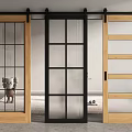 Various Design Barn Doors With Wooden Black Frames And Glass Panels