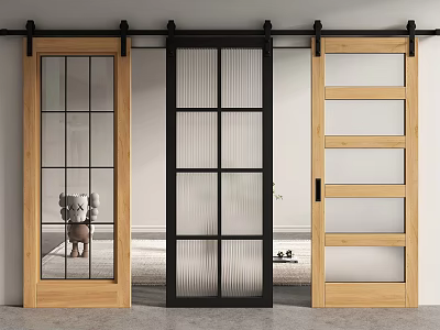 Various Design Barn Doors With Wooden Black Frames And Glass Panels 3d model