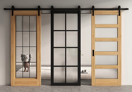 Modern Barn Door Glass Barn Door Hanging Rail Door 3d model