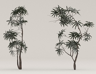 trees and green plants 3d model