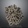 Detailed Natural Porous Structure With Intricate Holes And Brown Textured Surface