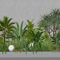 Lush Green Plants Featuring Palm Banana Leaves Tropical Foliage White Ball Lights In Gray Planter