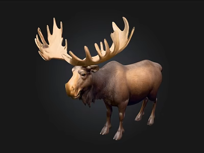 Detailed Realistic Moose Figurine With Large Antlers And Brown Body 3d model