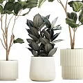 Lush Green Leafy Potted Plants In White Textured Ceramic Pots For Indoor Decor