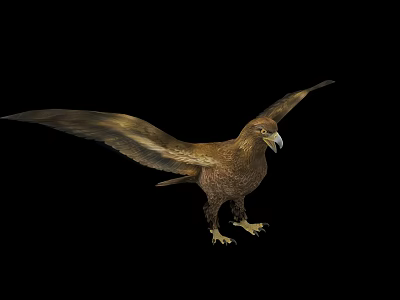 Majestic Brown Eagle Spreading Wings With Sharp Talons Isolated On Black Background 3d model