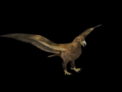 Modern Eagle 3d model