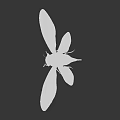 Cicada With Transparent Spotted Wings And Striped Body On Gray Background