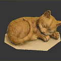 Adorable Orange Cat Curled Up Peacefully Sleeping On Soft White Mat