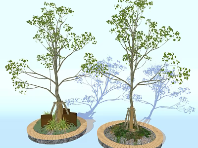 Lush Arbor Trees In Circular Brick Pits With Green Foliage And Shadows 3d model