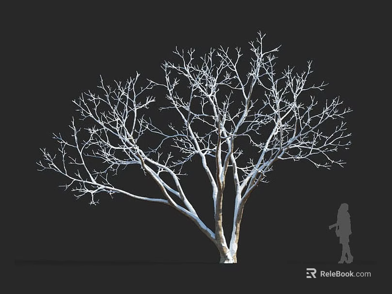 Bare Branch Tree Against Black Background With Human Silhouette For Size Reference 3d model