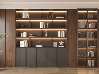 Modern Bookcase Design With Wooden Structure Dark Cabinet Doors Multiple Shelves Books And Decorative Items 3d model