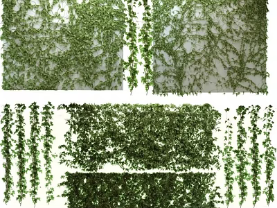 Lush Green Natural Vines Decorative Hanging And Covering Elements For Home 3d model