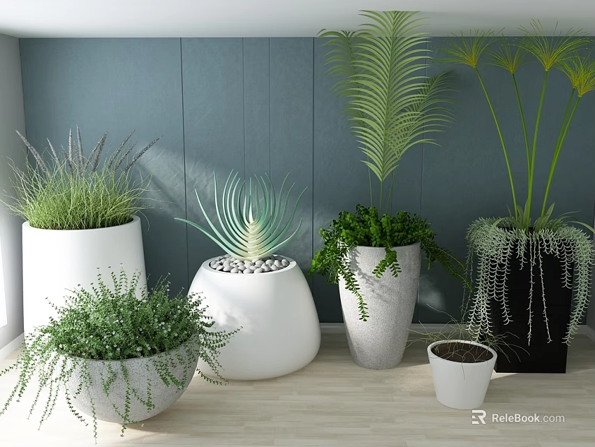 Various Potted Plants in Decorative Pots with Blue Wall and Wooden Floor 3d model 