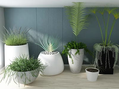 Various Potted Plants in Decorative Pots with Blue Wall and Wooden Floor 3d model