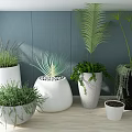 Various Potted Plants in Decorative Pots with Blue Wall and Wooden Floor