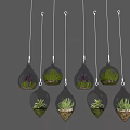Multiple Glass Hanging Planters With Small Green Succulents Suspended From Ceiling 3d model