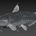Gray Catfish 3D Model With Whiskers Isolated On Gray Background